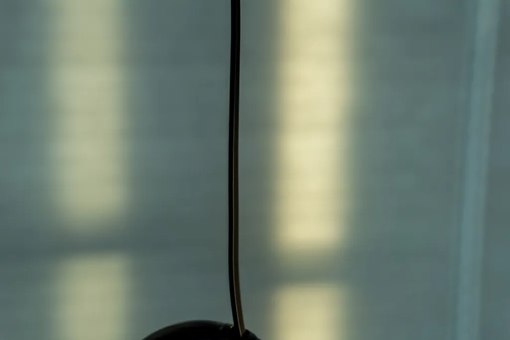 ugreen-roll-up-cable-review